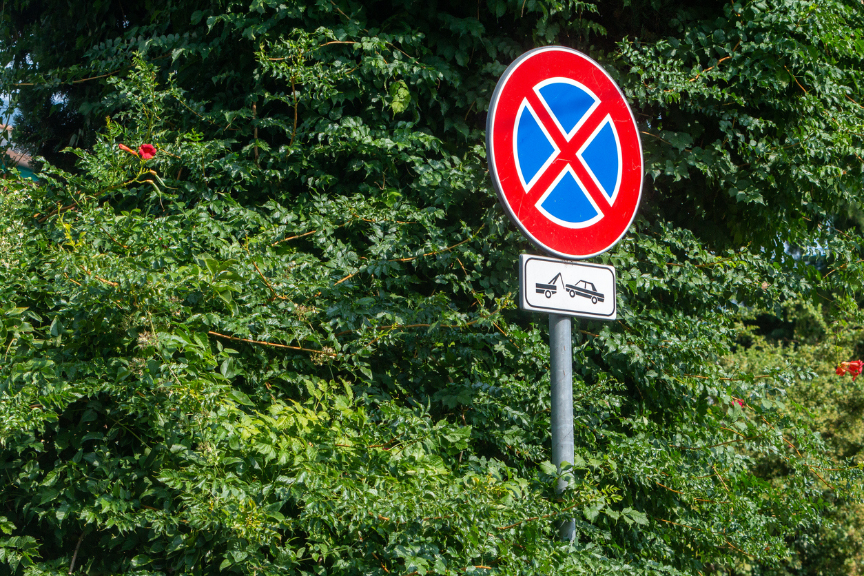 wisdom trap lamp Segnali stradali di divieto: regole da sapere — Blog Linear